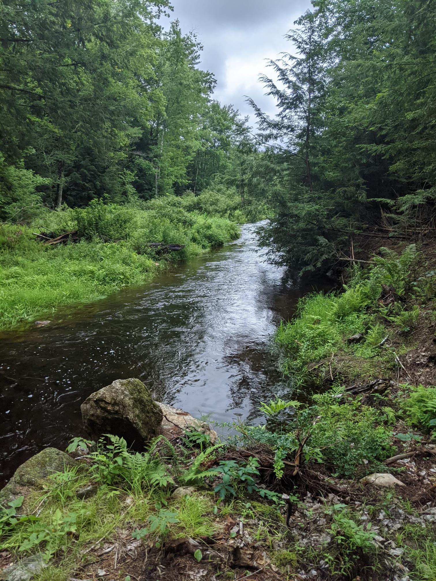 0 Range Road Pittsfield, NH 03263 - Photo 23 of 27