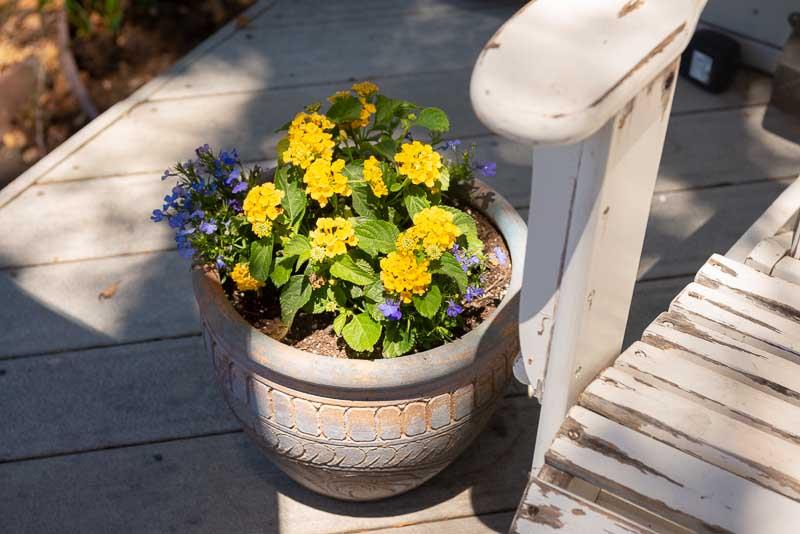 705 Oak Drive Capitola, CA 95010 - Photo 16 of 17 a vase of flowers sitting on a floor