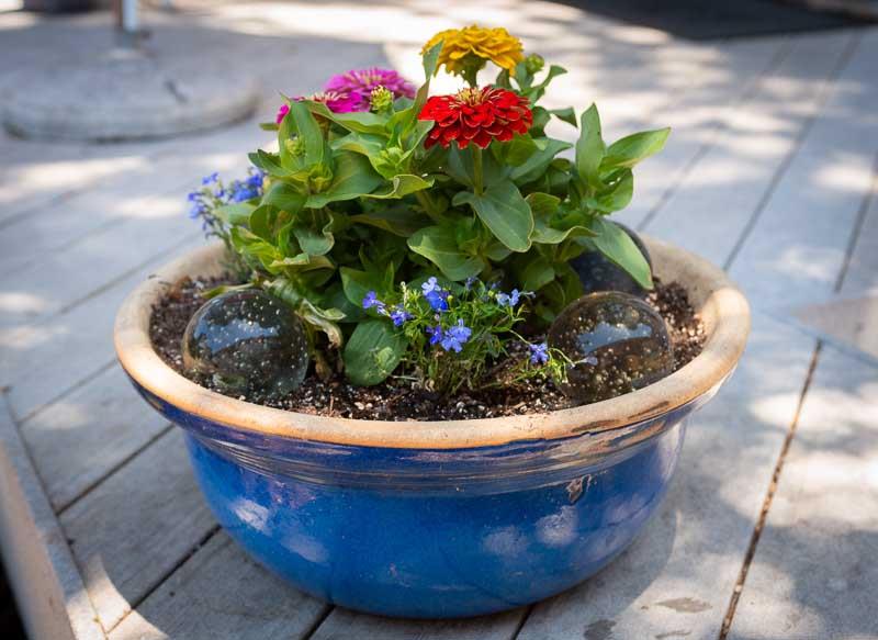 705 Oak Drive Capitola, CA 95010 - Photo 3 of 17 a view of a fruit basket