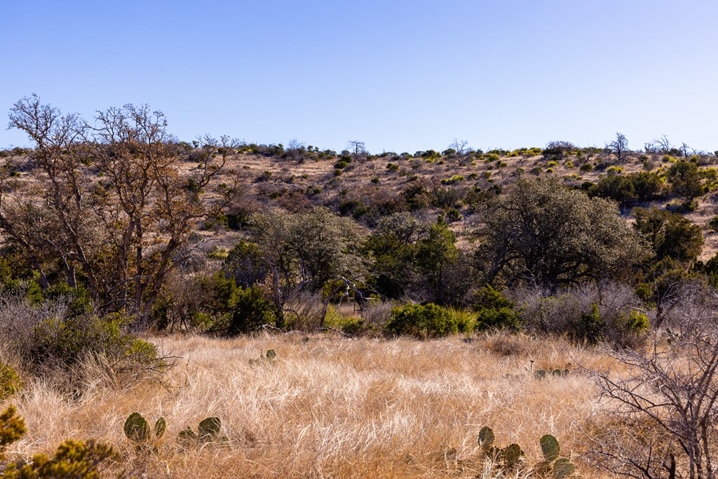 Lot 31 Rocksprings Rocksprings, TX 78880 - Photo 12 of 34