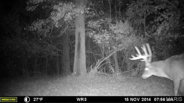 $599,000 | 9199 Schupbach Road, Sparta, IL 62286