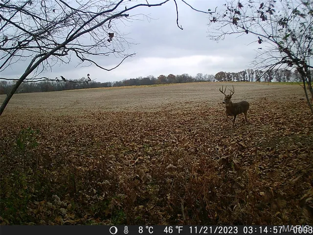 $599,000 | 9199 Schupbach Road, Sparta, IL 62286