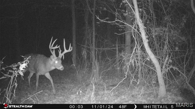 $599,000 | 9199 Schupbach Road, Sparta, IL 62286