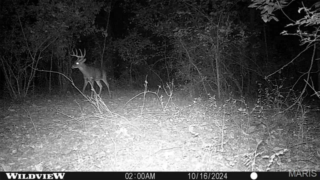 $599,000 | 9199 Schupbach Road, Sparta, IL 62286