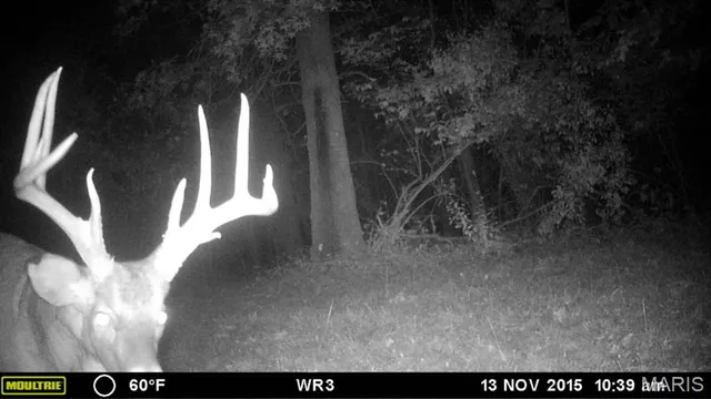 $599,000 | 9199 Schupbach Road, Sparta, IL 62286