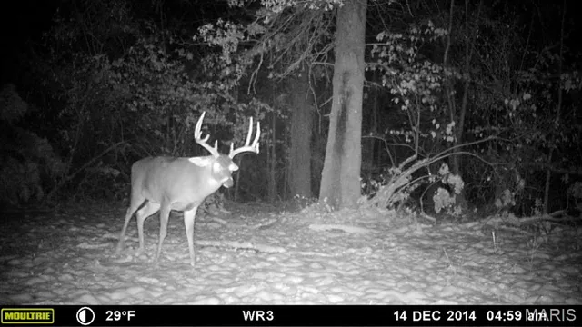 $599,000 | 9199 Schupbach Road, Sparta, IL 62286