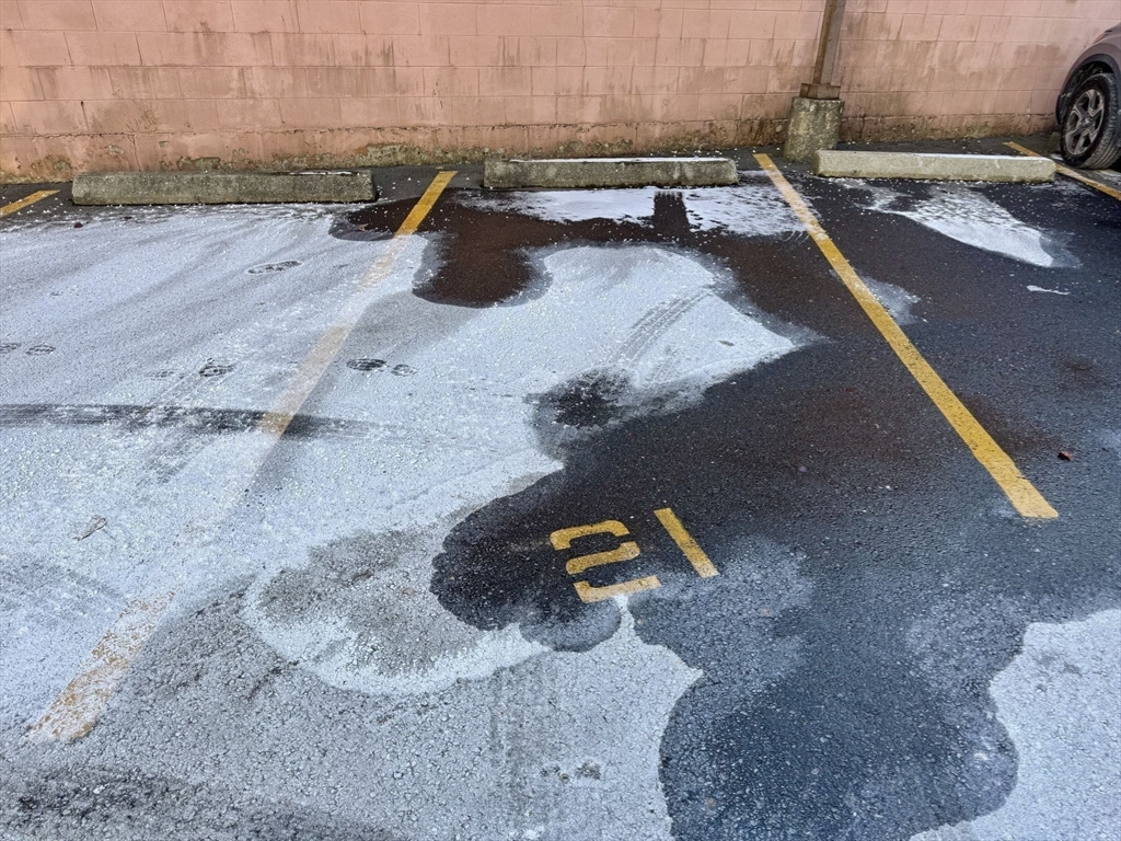 24 Corey Street, Unit 101 Everett, MA 02149 - Photo 32 of 32