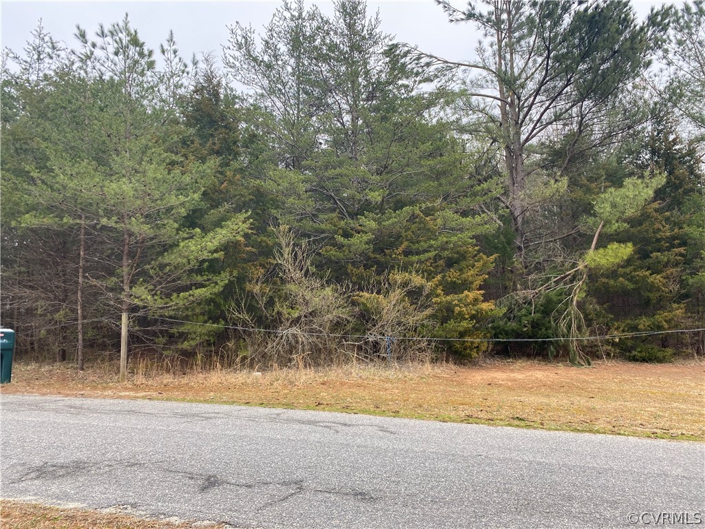 Tbd Country Road Beaverdam, VA 23015 - Photo 5 of 15 a view of a yard with a bench
