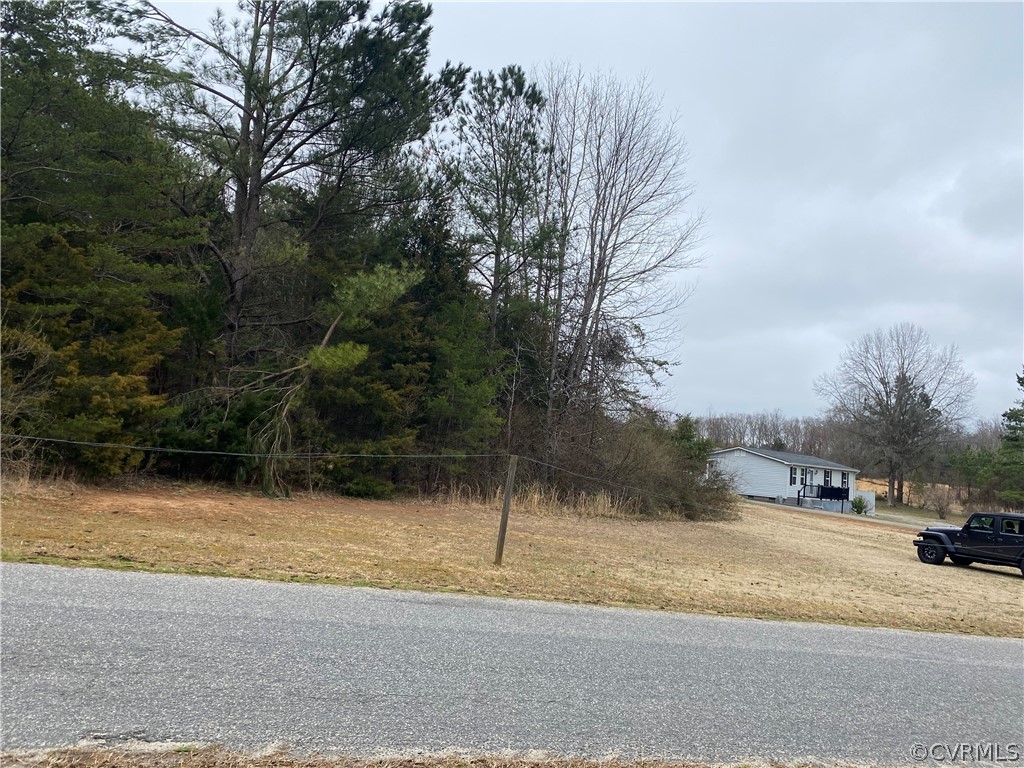 Tbd Country Road Beaverdam, VA 23015 - Photo 6 of 15 a view of road with trees