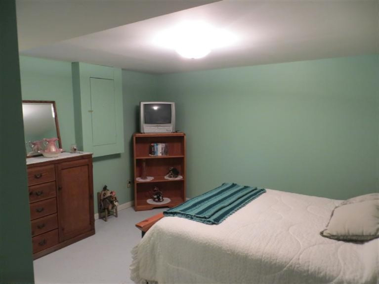 10380 South Banfield Road Dowling, MI 49050 - Photo 5 of 6 Additional Photo