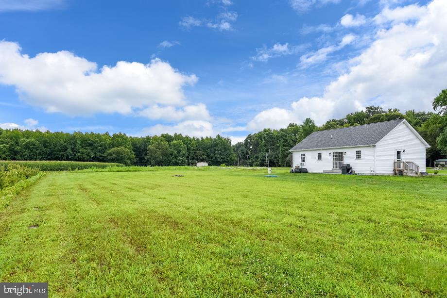 3978 Sandy Bend Road Hartly, DE 19953 - Photo 22 of 27 Gallery Image 22