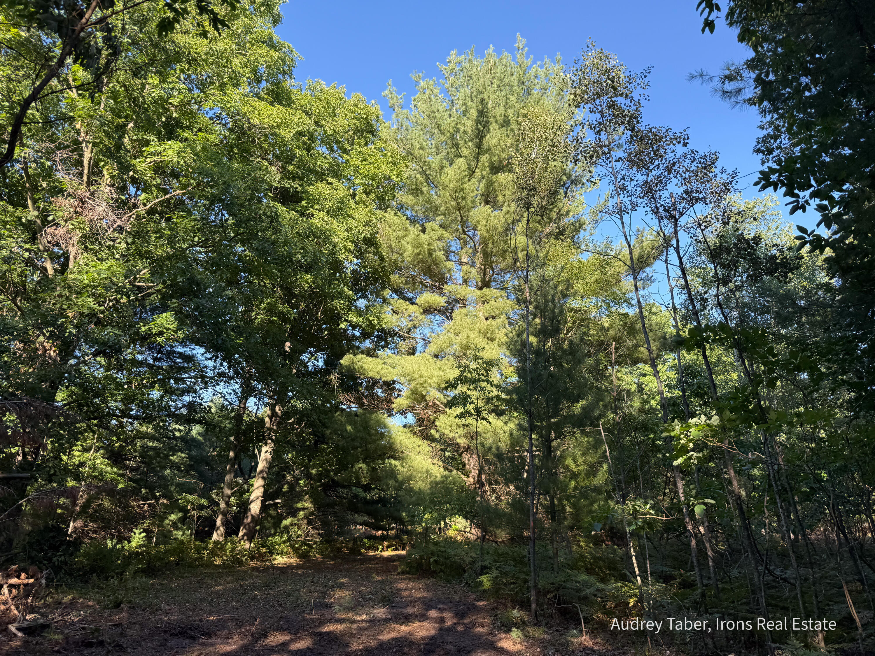 2 Clements Road Kaleva, MI 49645 - Photo 6 of 56 ClementsRd-49