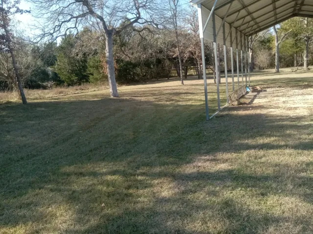 a view of a park with large trees