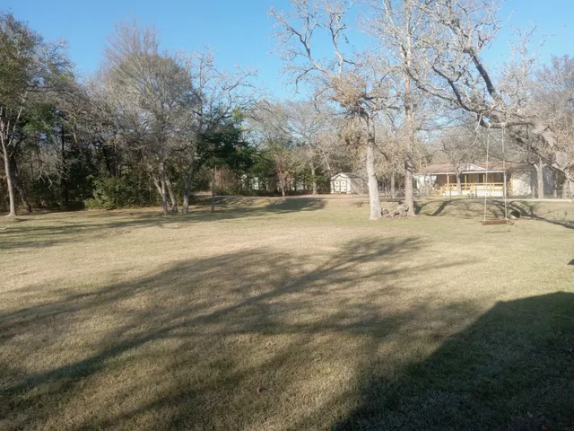 a view of road with large trees