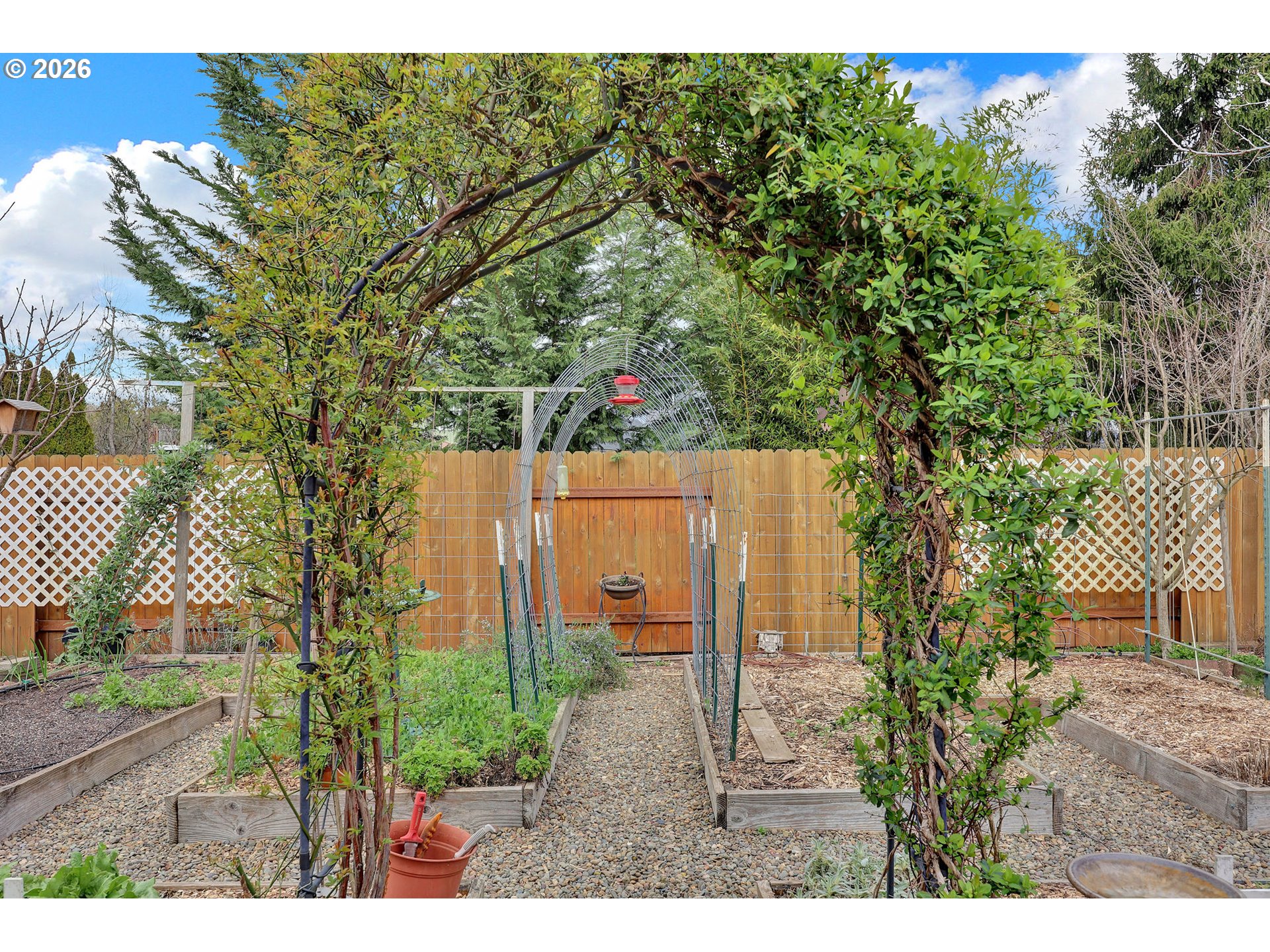 4452 Jessica Drive Springfield, OR 97478 - Photo 33 of 43 a view of a backyard