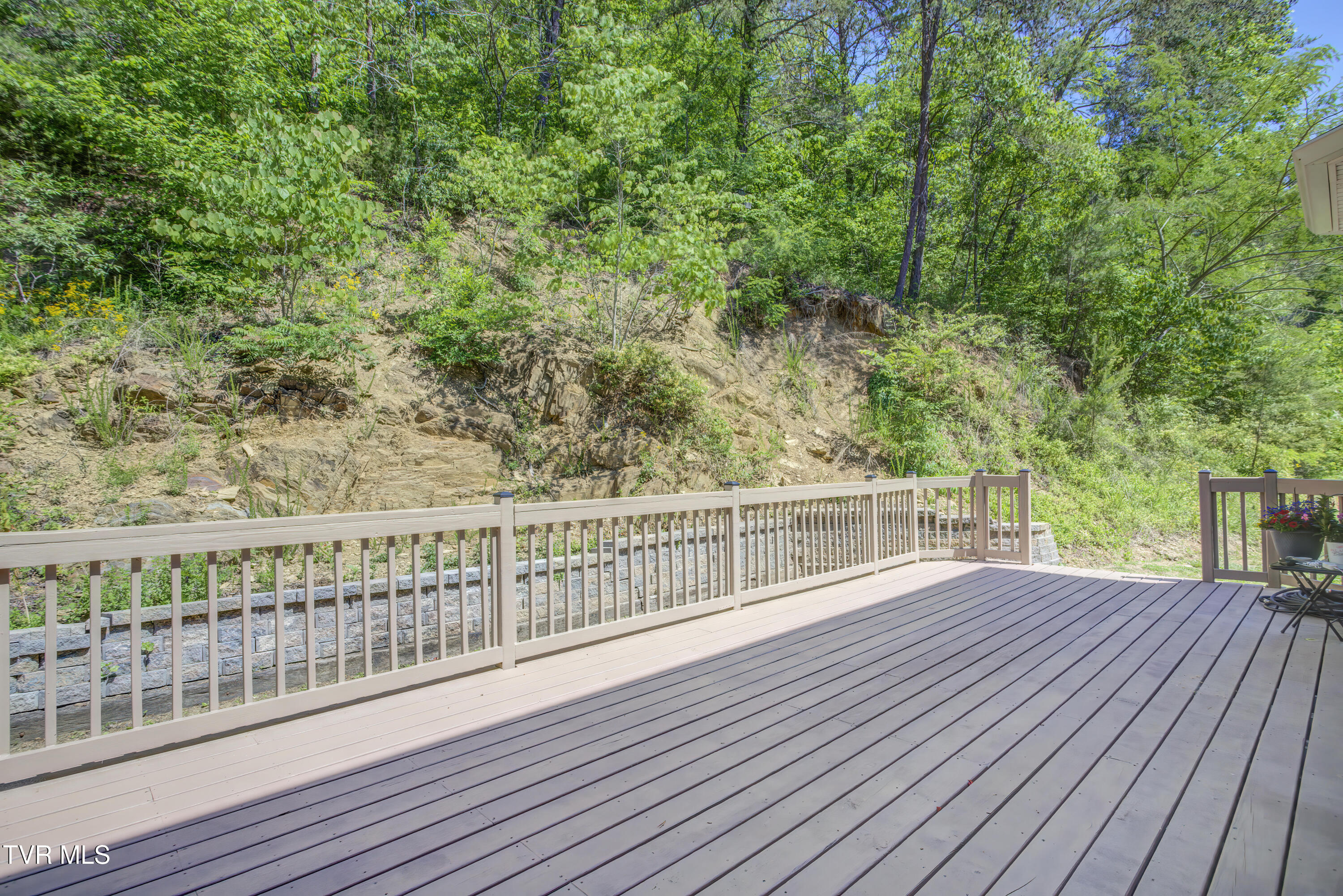 2823 Van Hill Road Greeneville, TN 37745 - Photo 67 of 103 2823 Van Hill Rd (64)
