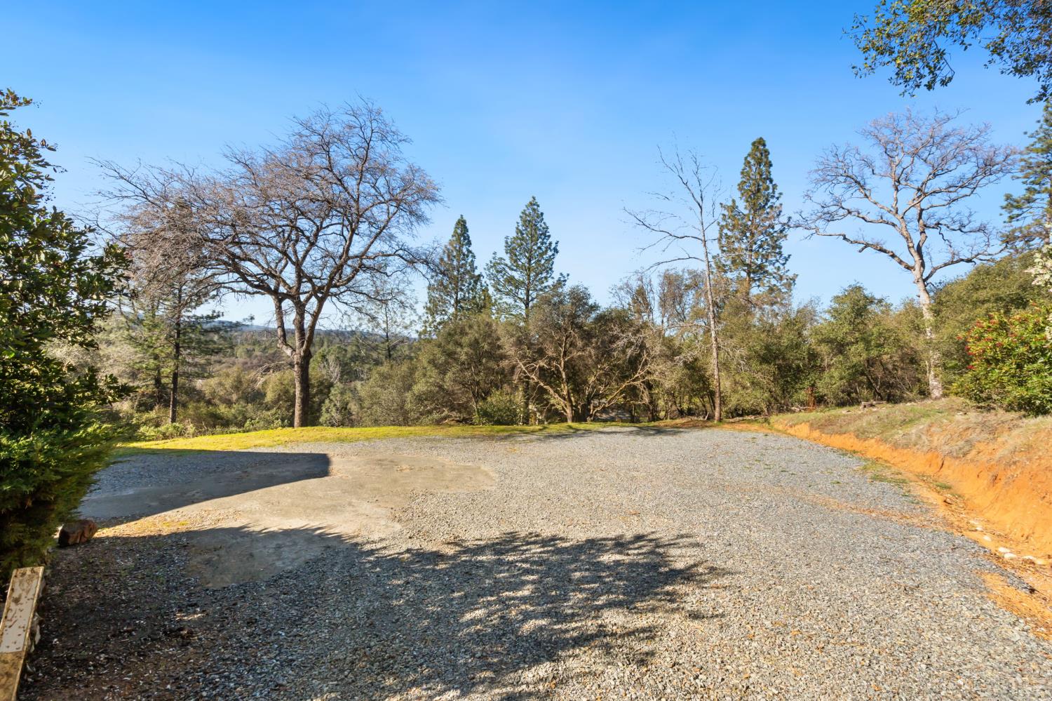 11172 North Ponderosa Way Rough and Ready, CA 95975 - Photo 2 of 47 a view of a yard with trees in the background