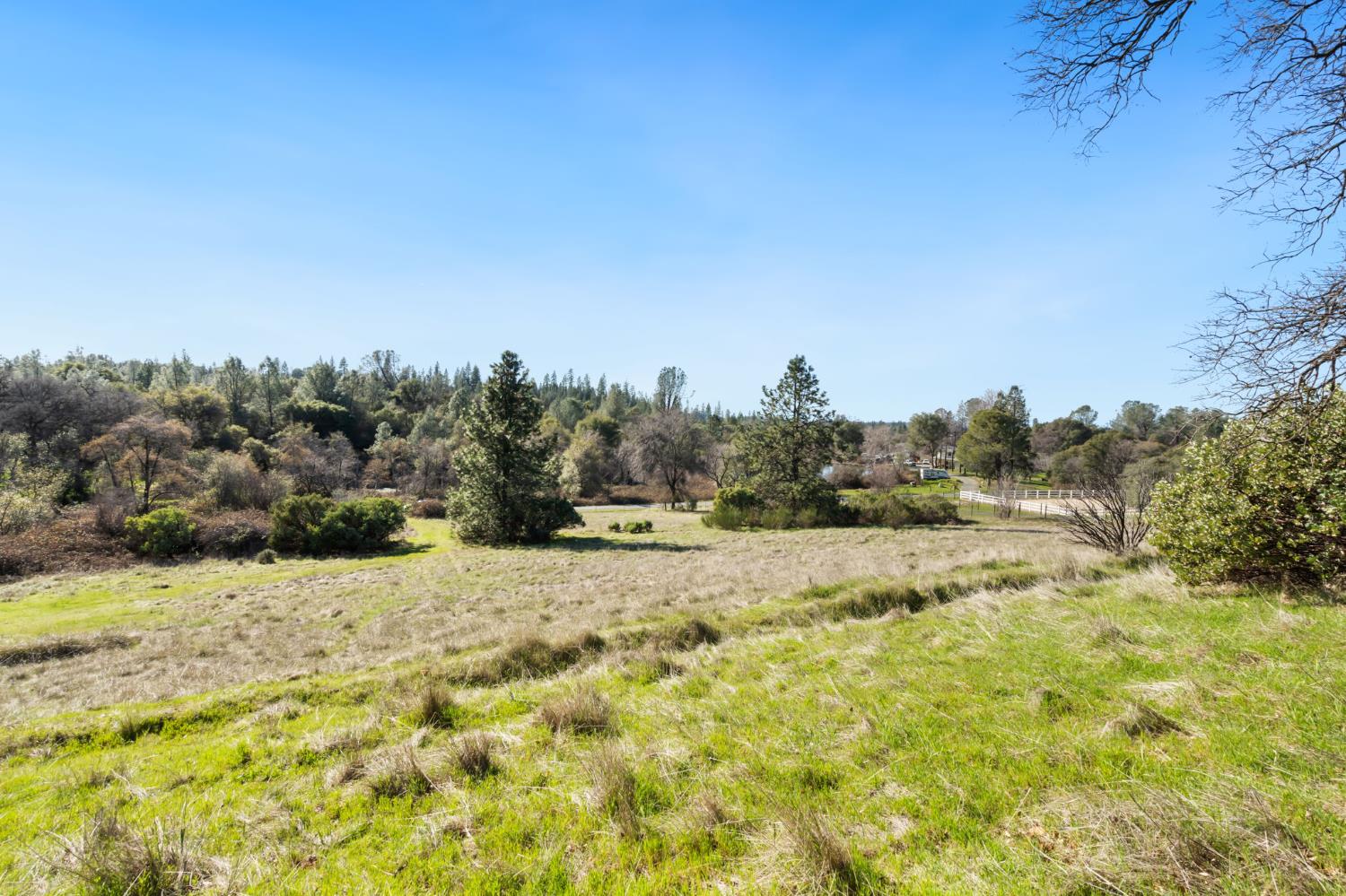 11172 North Ponderosa Way Rough and Ready, CA 95975 - Photo 47 of 47 a view of a yard with a tree
