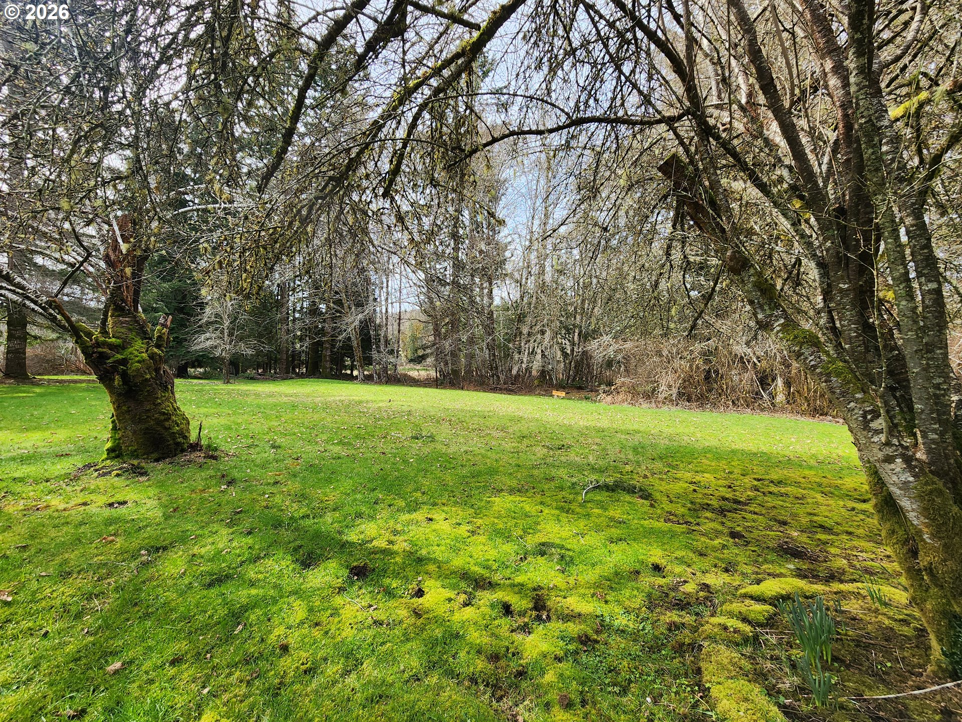 41214 Matt Kampy Road Seaside, OR 97138 - Photo 42 of 46