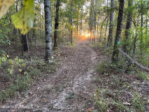 $186,000 | 1 Simpson Road, Pickens, MS 39146