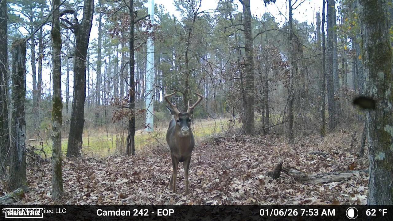 1 Simpson Road Pickens, MS 39146 - Photo 12 of 19 IMG_3864