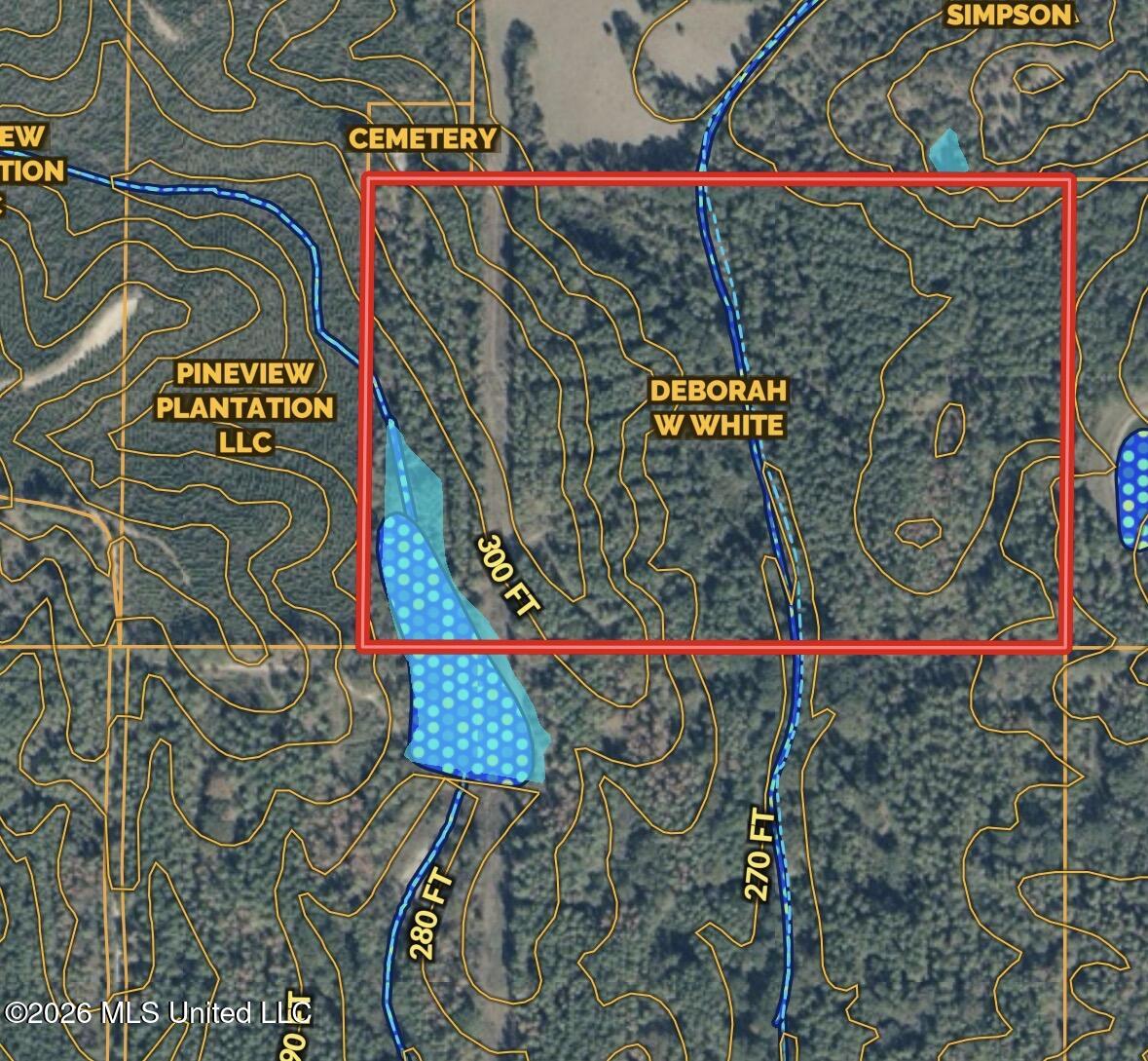 1 Simpson Road Pickens, MS 39146 - Photo 18 of 19 IMG_7298