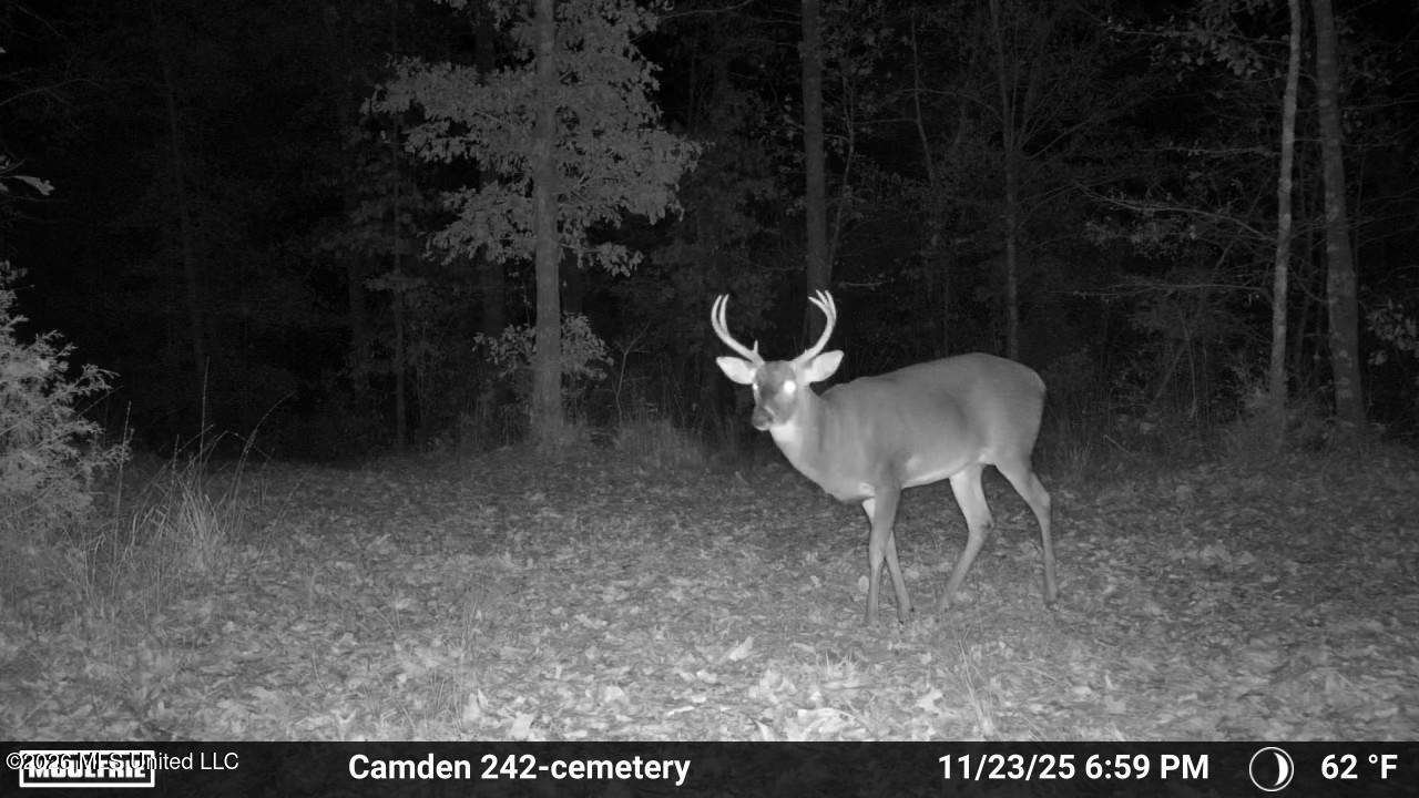 1 Simpson Road Pickens, MS 39146 - Photo 6 of 19 IMG_2426