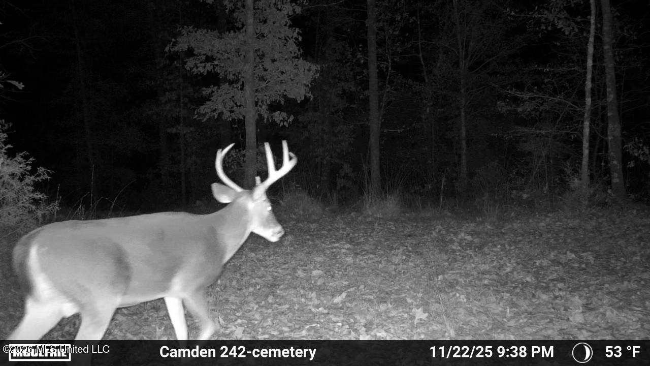 1 Simpson Road Pickens, MS 39146 - Photo 7 of 19 IMG_2419