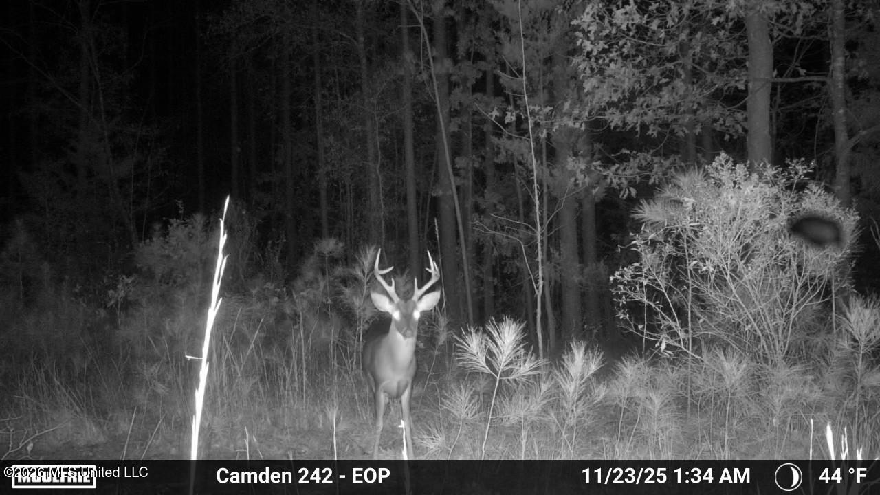 1 Simpson Road Pickens, MS 39146 - Photo 10 of 19 IMG_2418