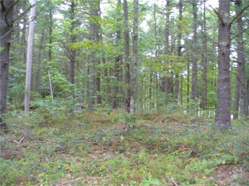 106 Middle Road Woolwich, ME 04579 - Photo 16 of 20 Land.