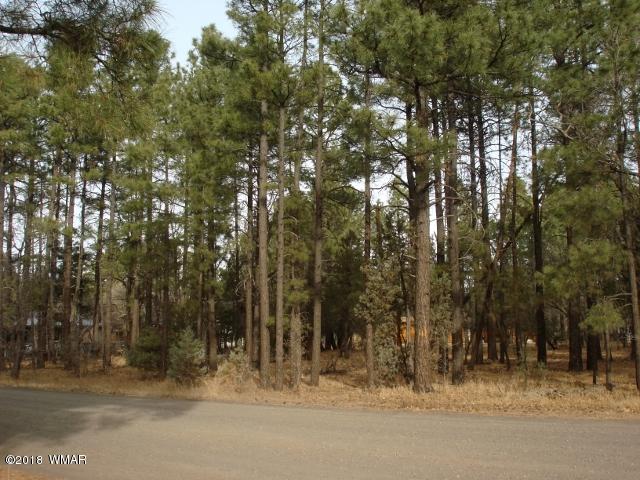 Lot 41 Springtime Lakeside, AZ 85929 - Photo 2 of 3
