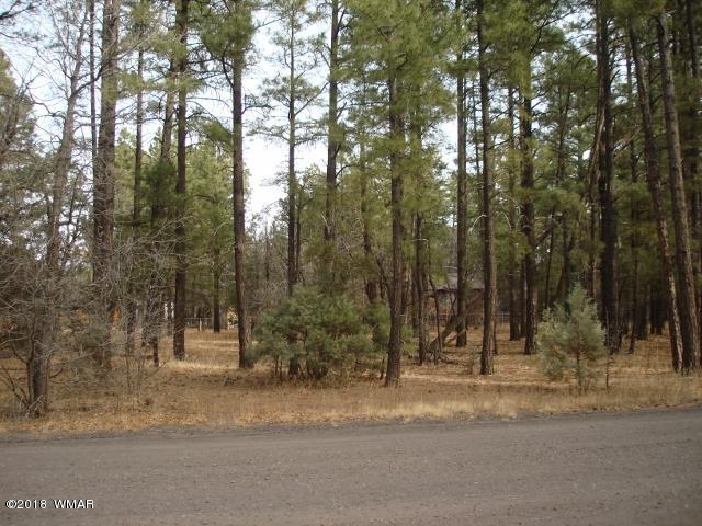 Lot 41 Springtime Lakeside, AZ 85929 - Photo 3 of 3