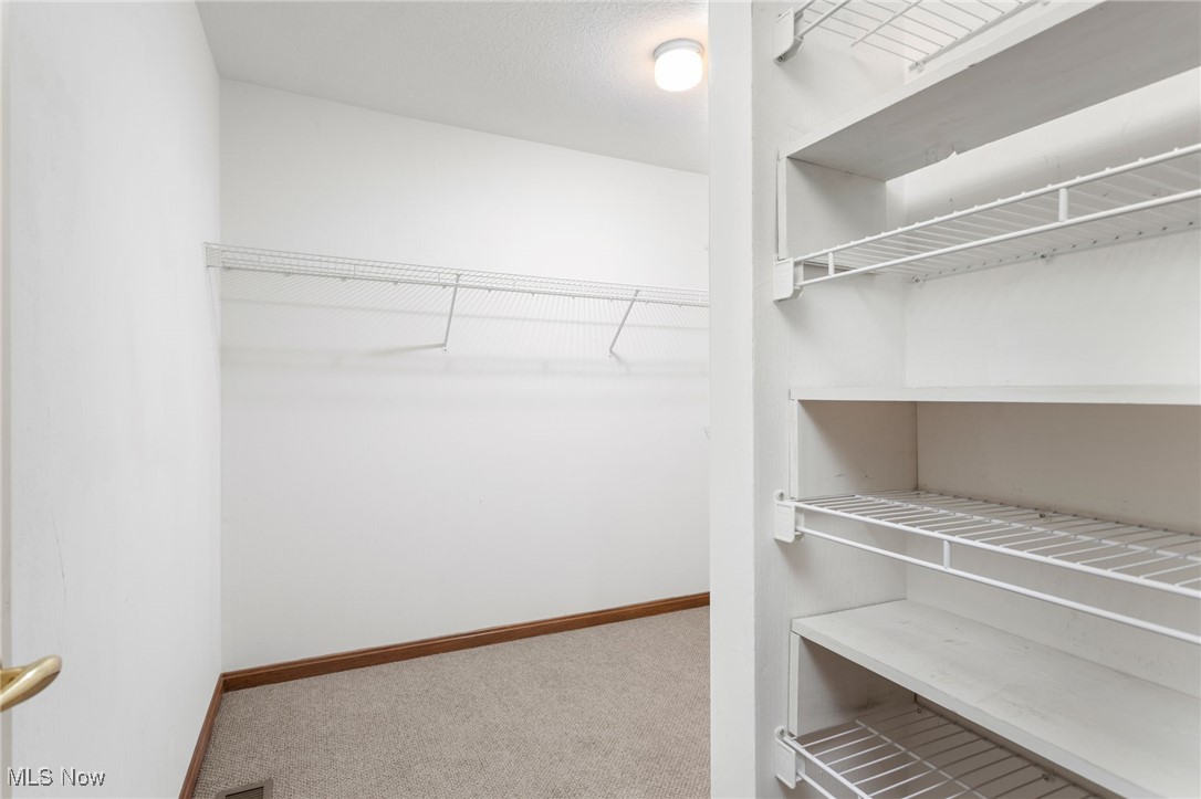 2155 Abbey Road Akron, OH 44312 - Photo 20 of 31 Walk in closet with carpet