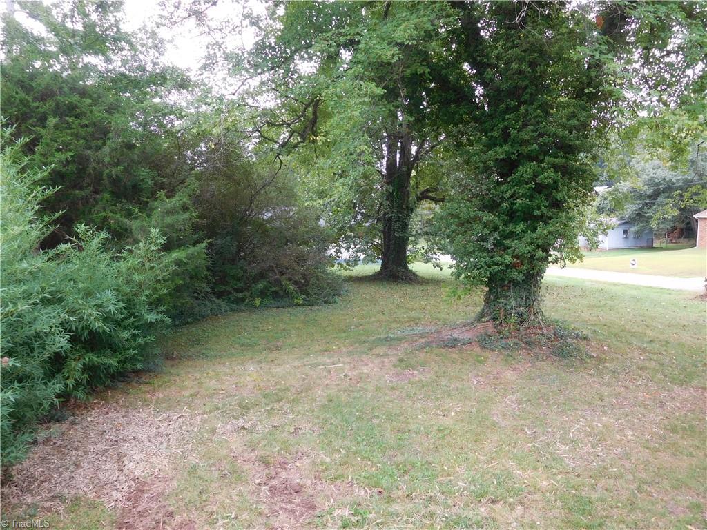 2126 Polo Road Winston-Salem, NC 27106 - Photo 33 of 33 Back Yard.