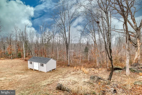 a view of a backyard with large trees