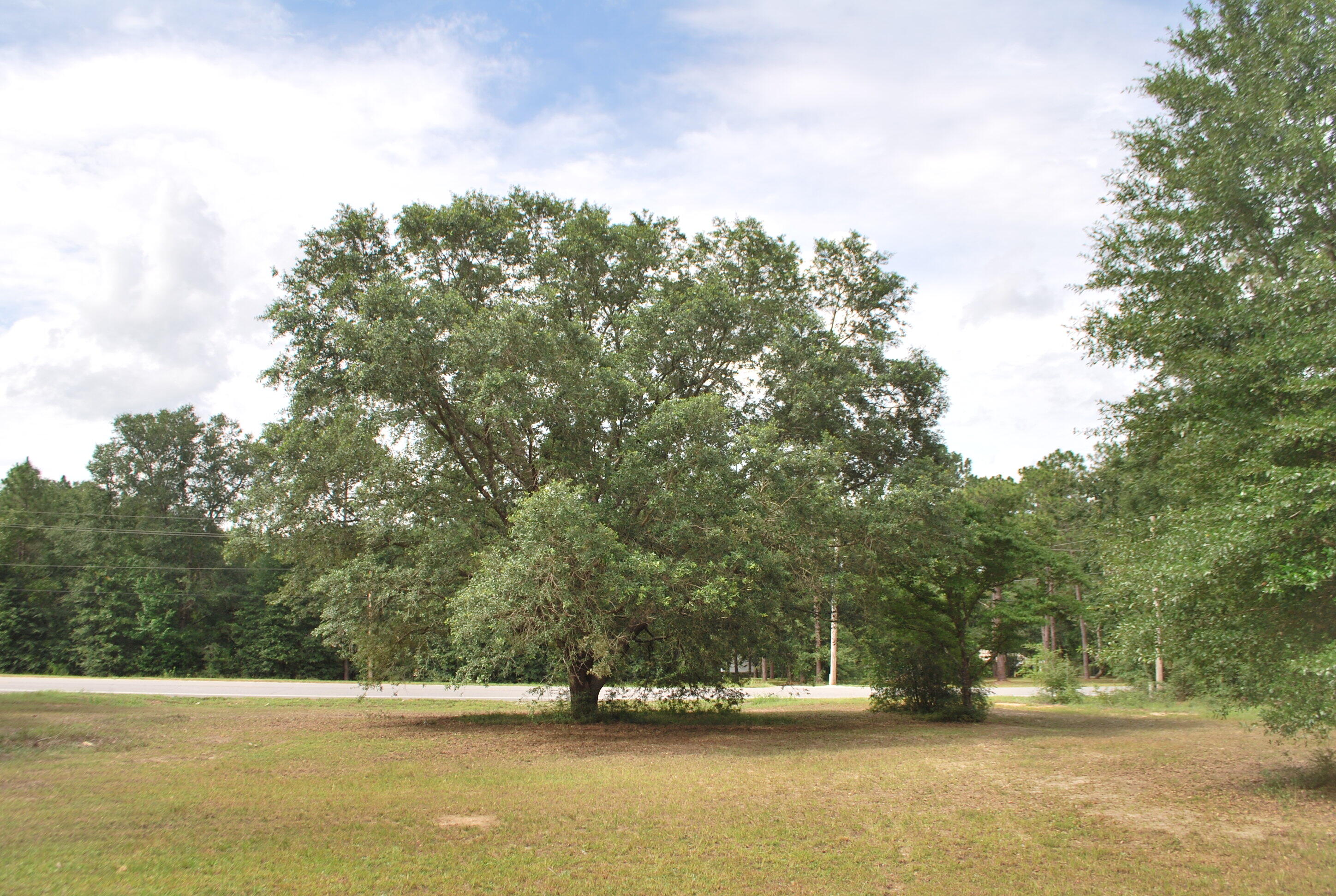 3602 Poverty Creek Road Crestview, FL 32539 - Photo 29 of 29 a view of swimming pool with a yard