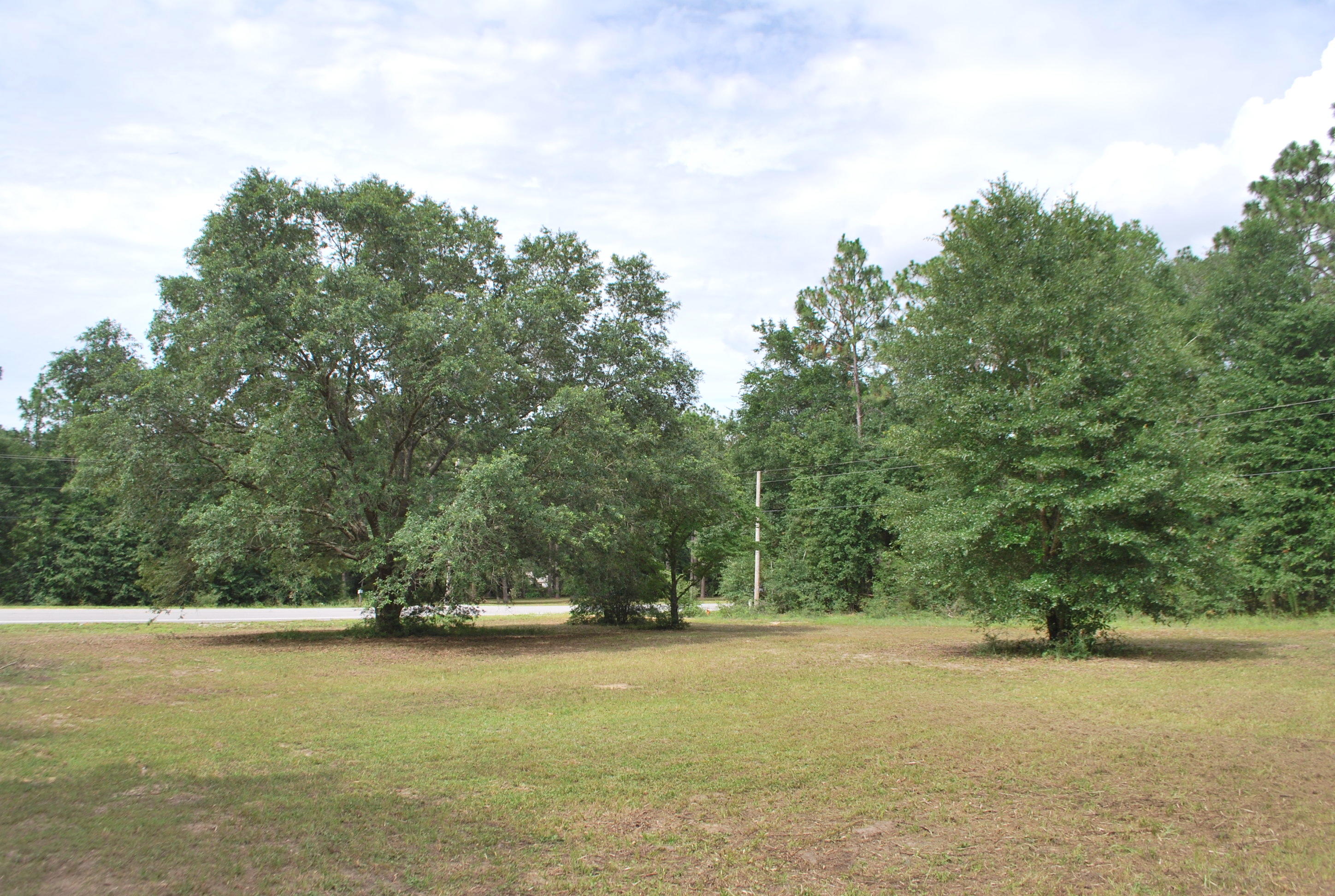 3602 Poverty Creek Road Crestview, FL 32539 - Photo 5 of 29 a view of a field with trees in background