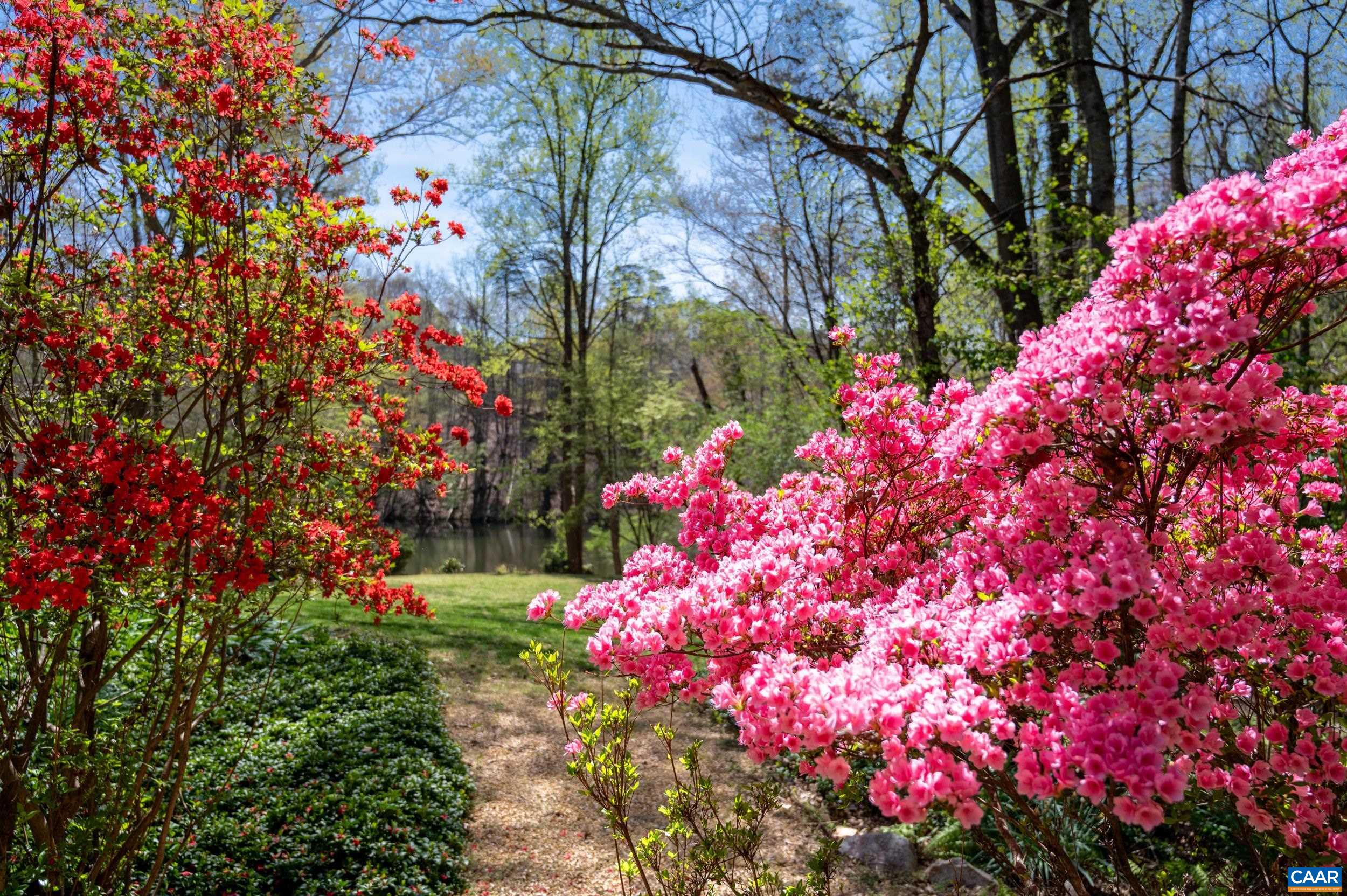 103 Powhatan Circle Charlottesville, VA 22901 - Photo 52 of 75
