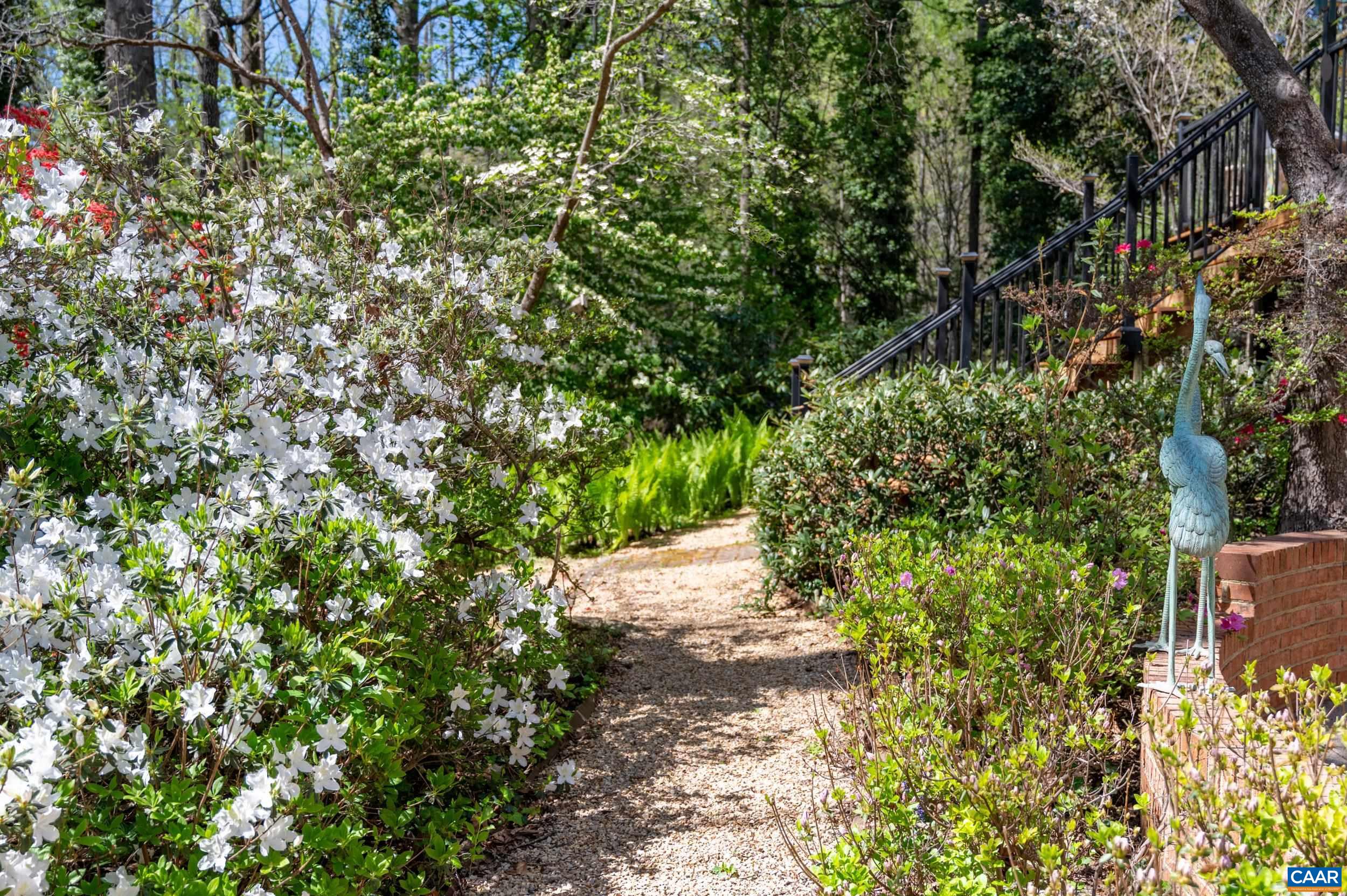 103 Powhatan Circle Charlottesville, VA 22901 - Photo 54 of 75 a view of a yard with plants and trees