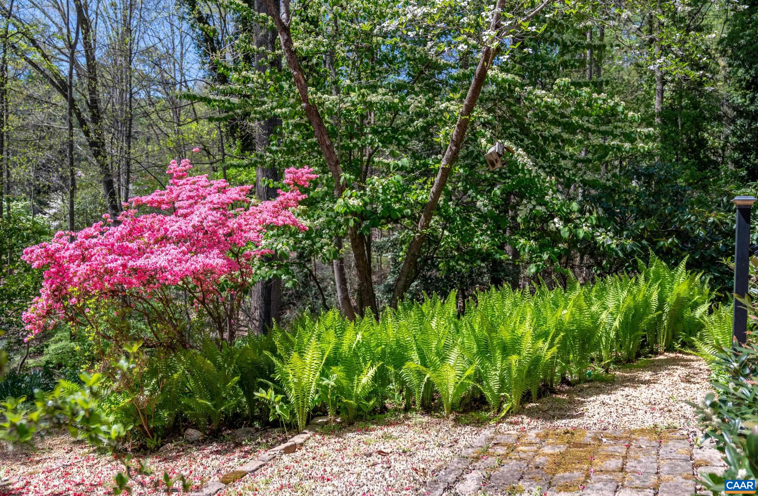 103 Powhatan Circle Charlottesville, VA 22901 - Photo 55 of 75