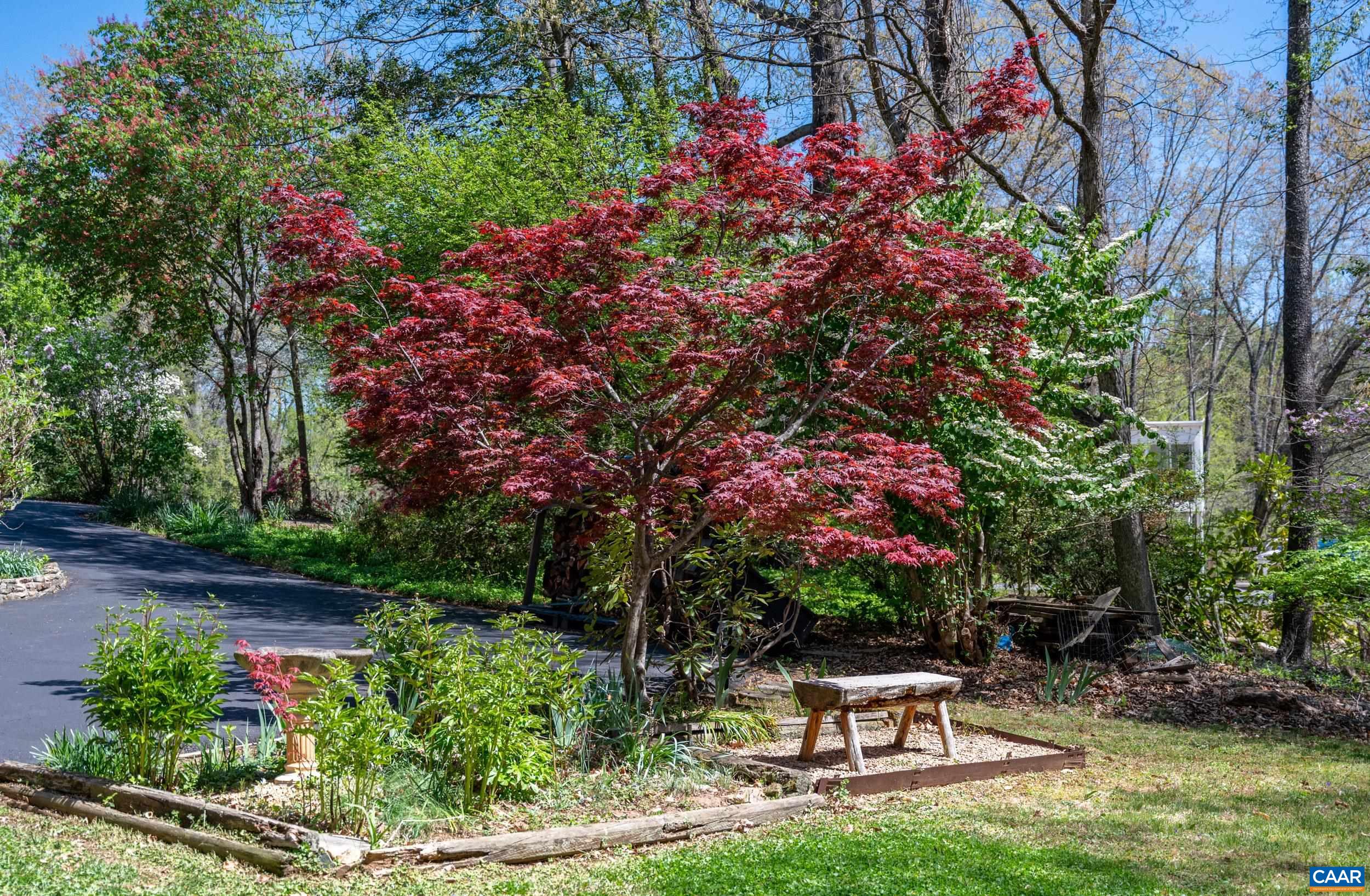 103 Powhatan Circle Charlottesville, VA 22901 - Photo 67 of 75 a bench sitting in the middle of a garden