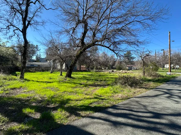 a view of a park with large trees