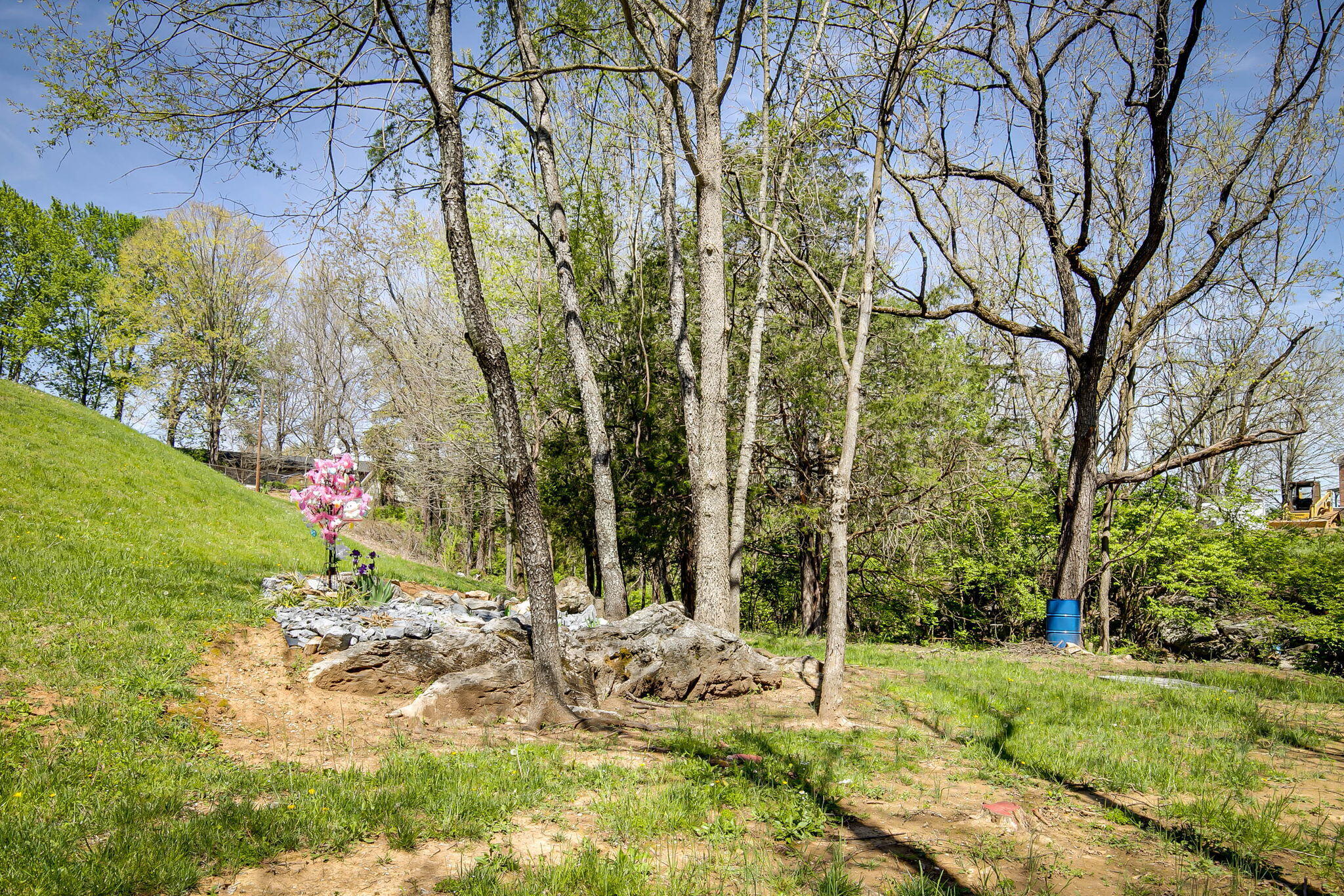 120 Cedar Point Road Johnson City, TN 37601 - Photo 8 of 65 - (20)