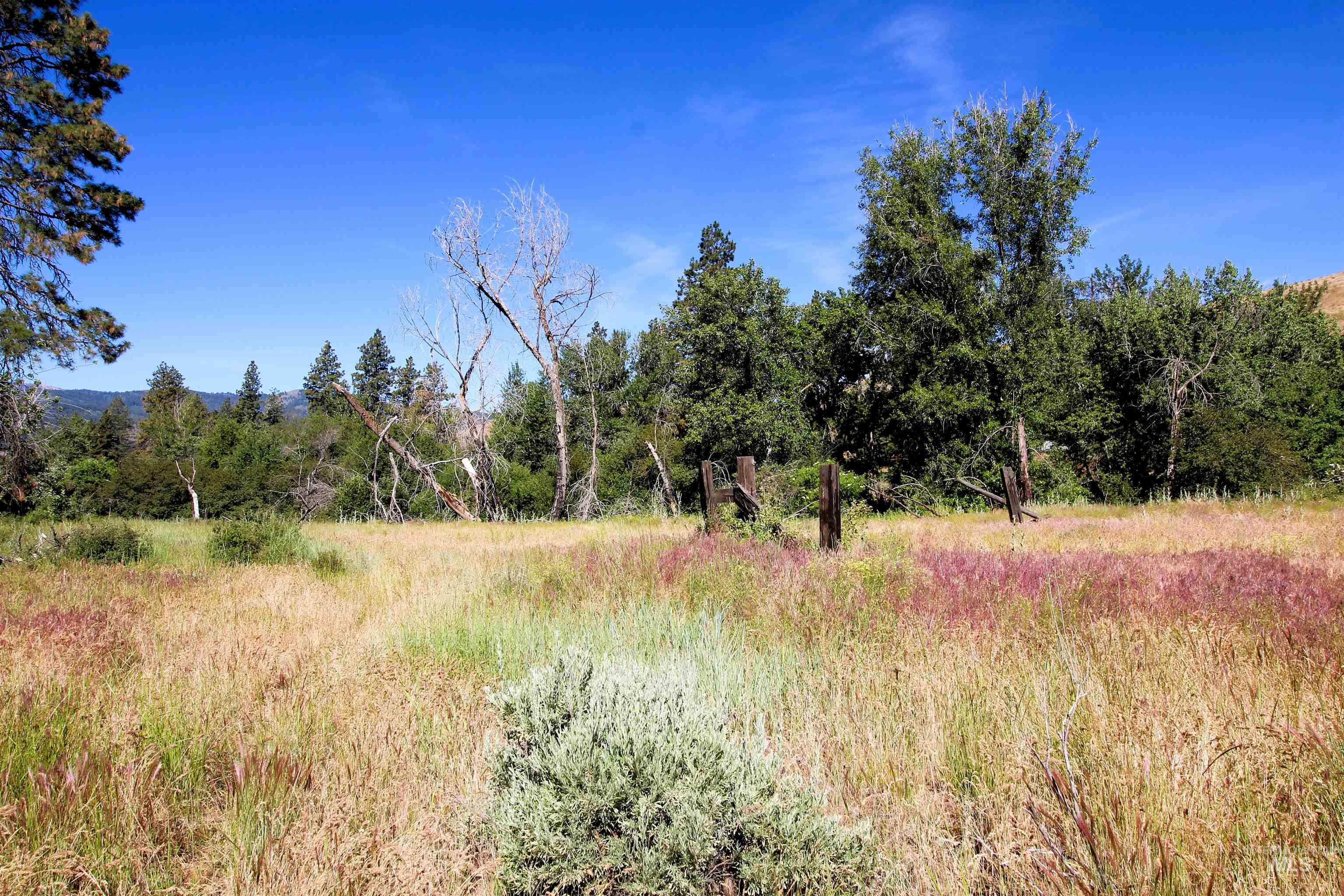 Tbd Advent Gulch Road Cambridge, ID 83610 - Photo 26 of 30