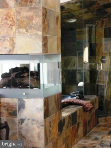 11575 Greenwich Point Road Reston, VA 20194 - Photo 6 of 23 Master Bath