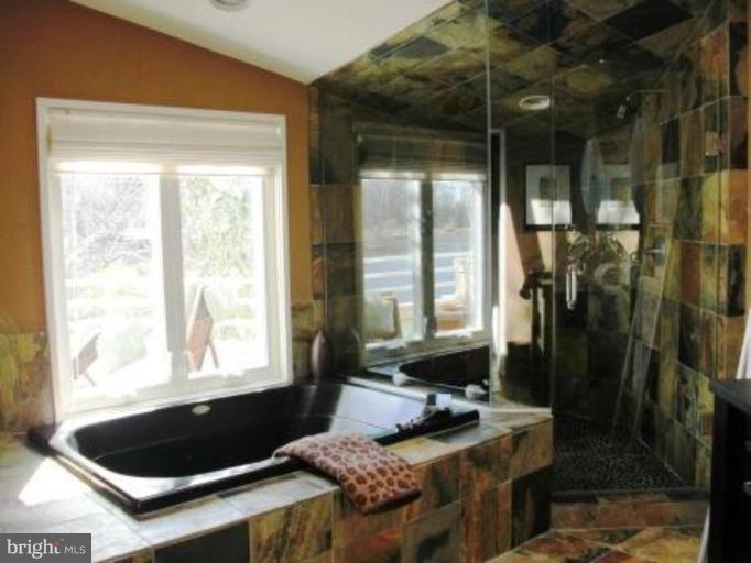 11575 Greenwich Point Road Reston, VA 20194 - Photo 7 of 23 Master Bath #2