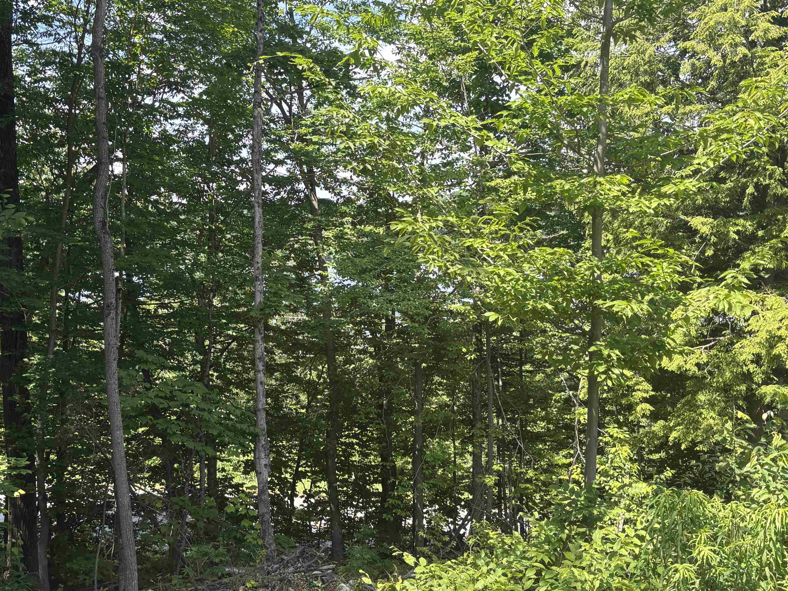 0 Vt Route 114 Norton, VT 05907 - Photo 6 of 45