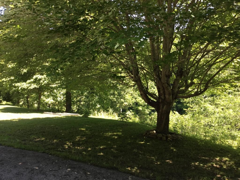 10339 Killen Hollow Road Pound, VA 24279 - Photo 28 of 30 Photo 28