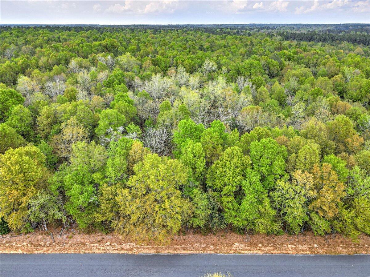 0 Millers Pond Road, Unit LOT 5 Salley, SC 29137 - Photo 9 of 13