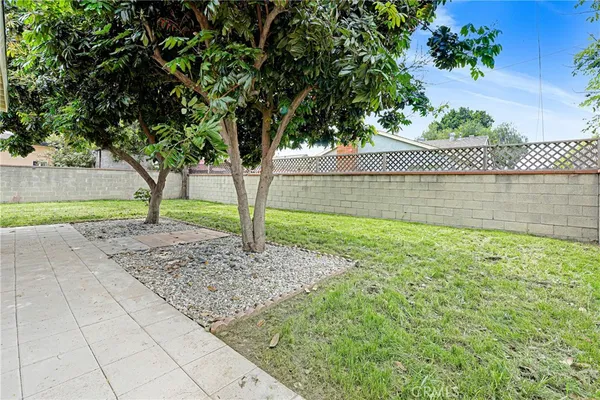 a view of a backyard with large trees